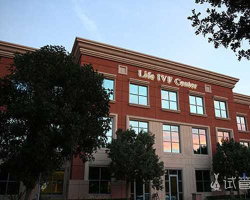 2025年试管婴儿一次性成功几率有多大？