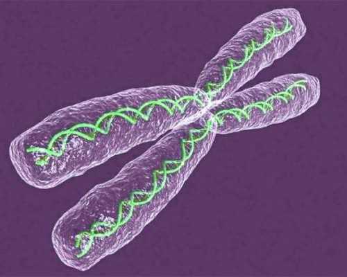 石家庄试管婴儿政策放宽：无需结婚证也能圆生育梦